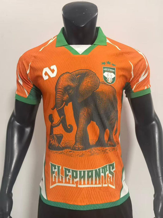 Maillot Officiel Côte d'Ivoire